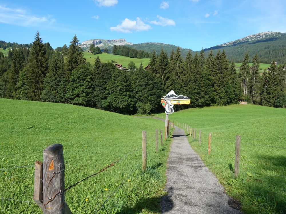 Burmiweg und Hoher Ifen