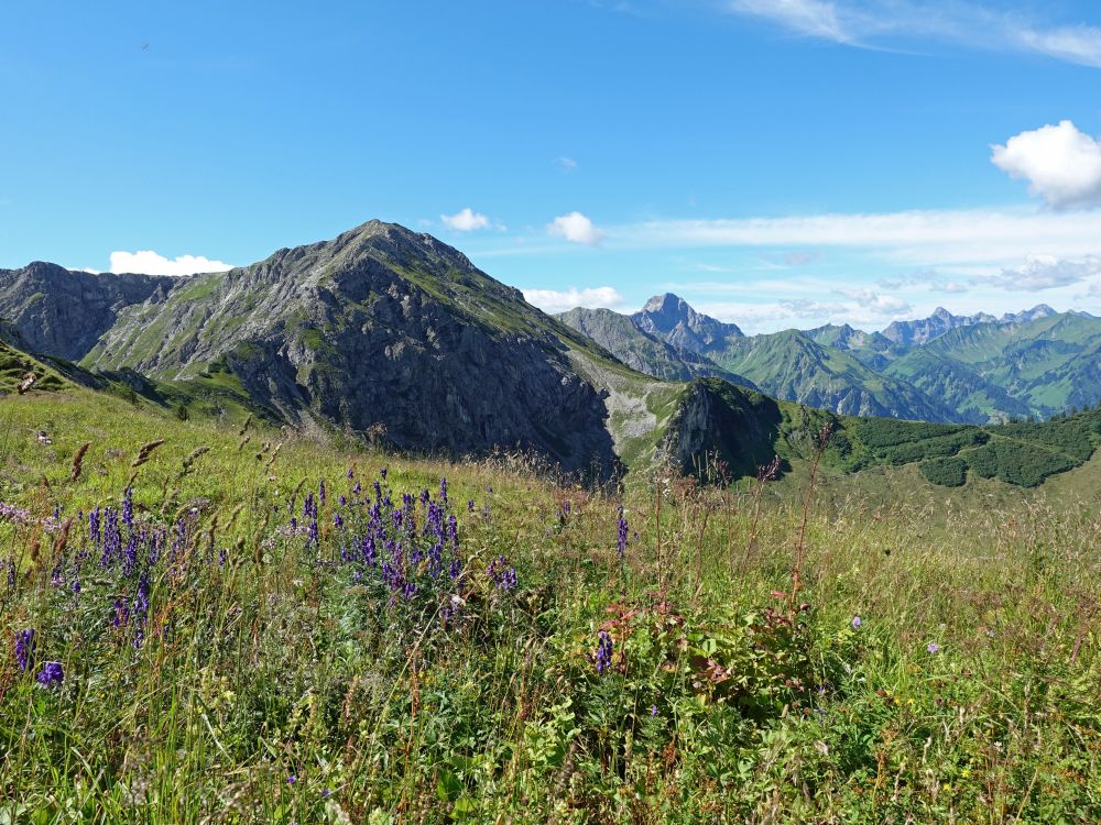 Walser Hammerspitze