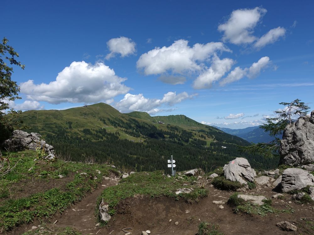 Blick Richtung Fellhorn
