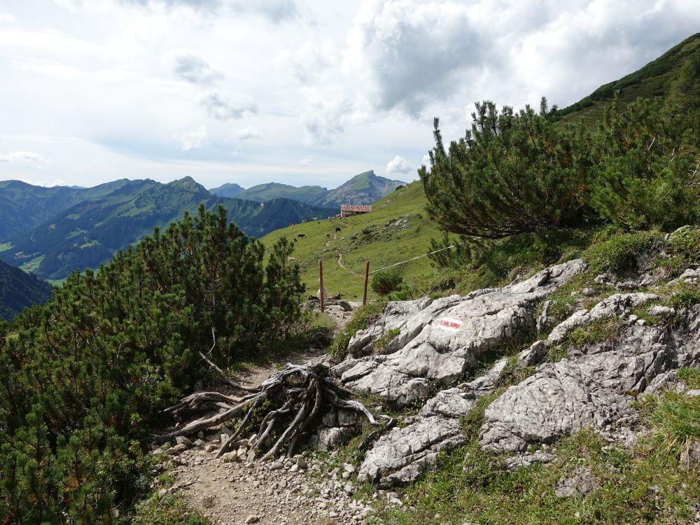 Hoher Ifen und Wannenalpe