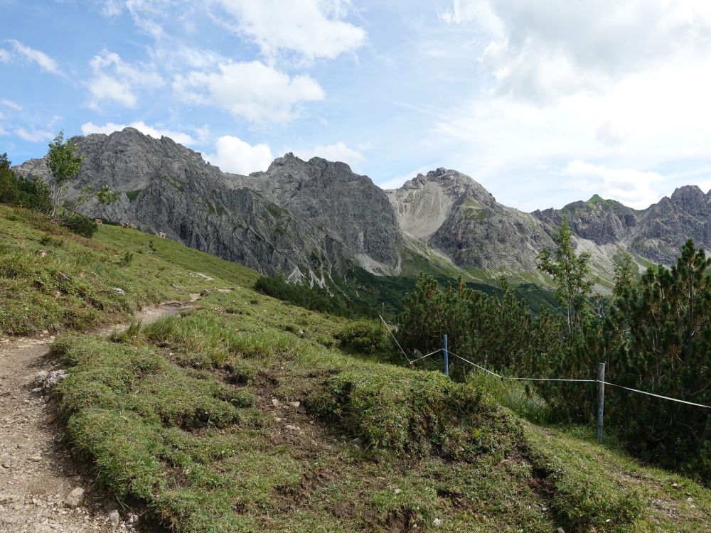 Schafalpenköpfe