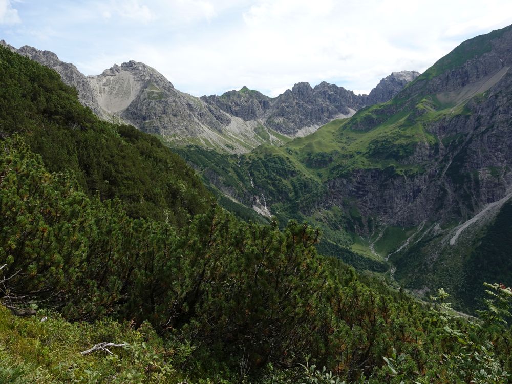 Schafalpenköpfe