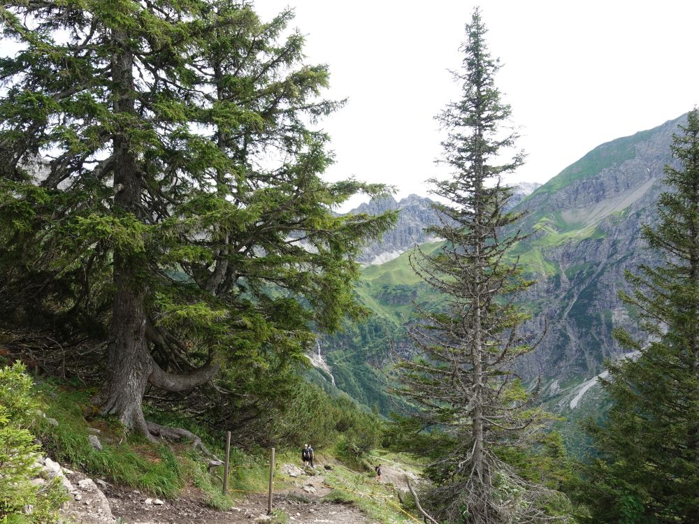 zwischen Wannenalpe und Kuhgehrenalpe