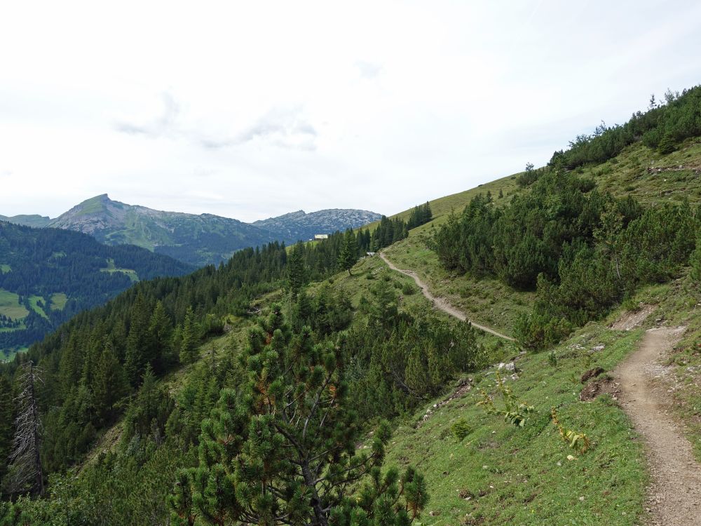 Hoher Ifen und Gottesacker