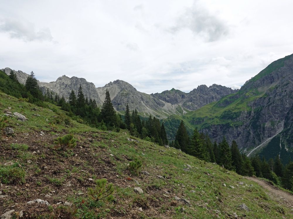 Schafalpenköpfe