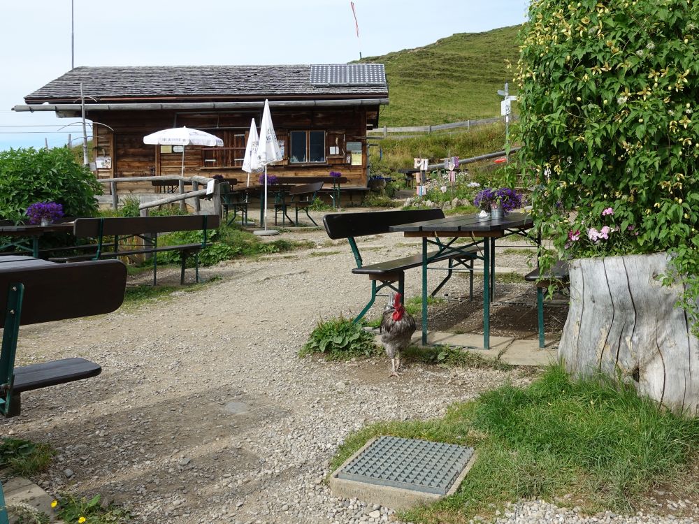 Innere Kuhgehrenalpe