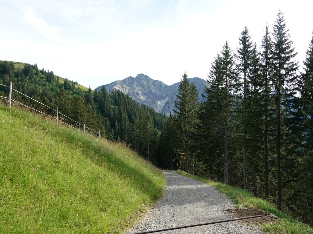 Weg bei Brand-Hütte