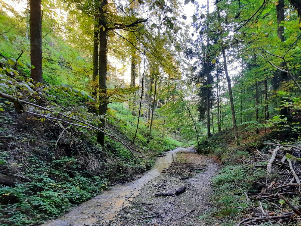 Zugang zum Greiselgubel