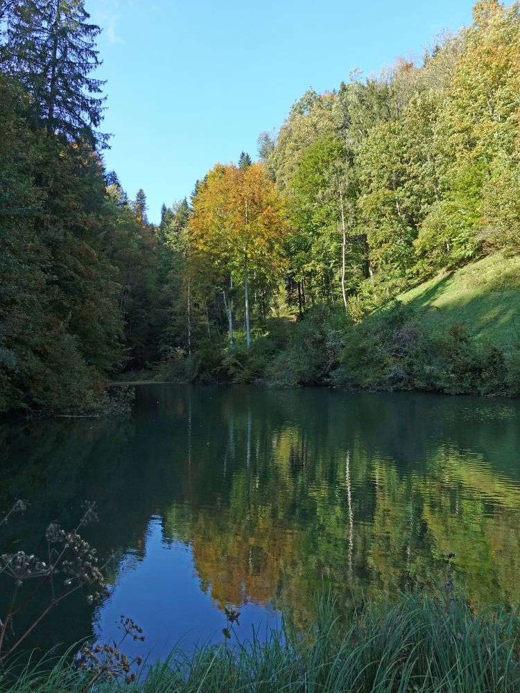 Teich beim Greiselgubel