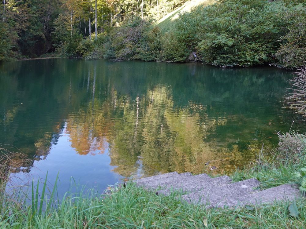 Teich beim Greiselgubel