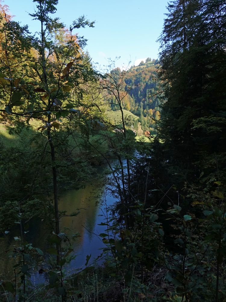 Teich beim Greiselgubel