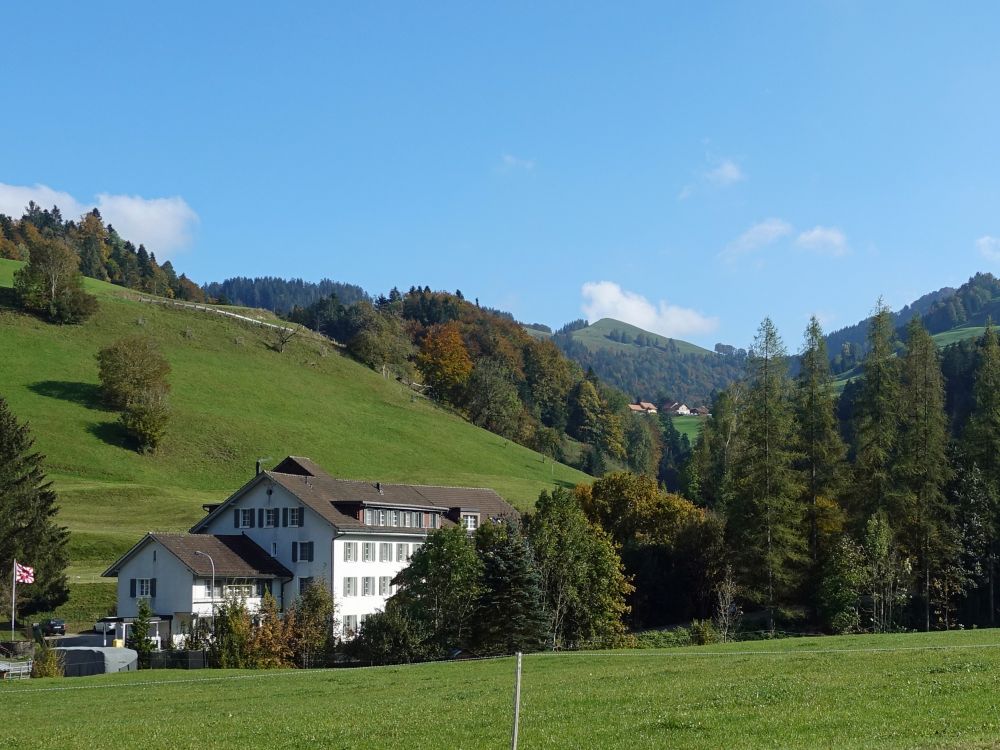 Blick auf Unteraurüti (oben)