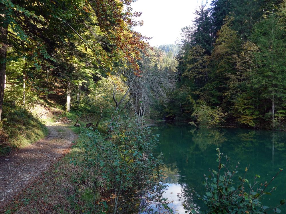 Teich am Züttbach