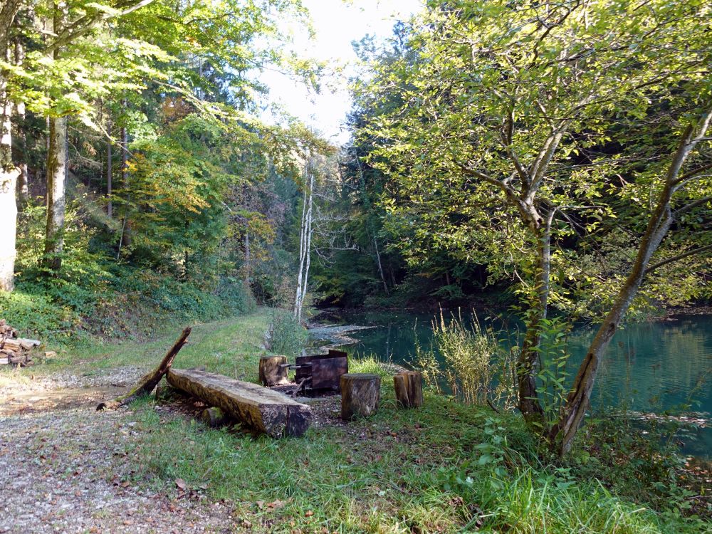 Teich am Züttbach