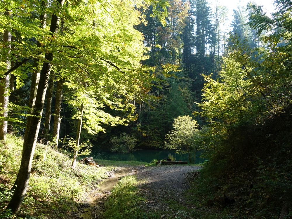 Teich am Züttbach