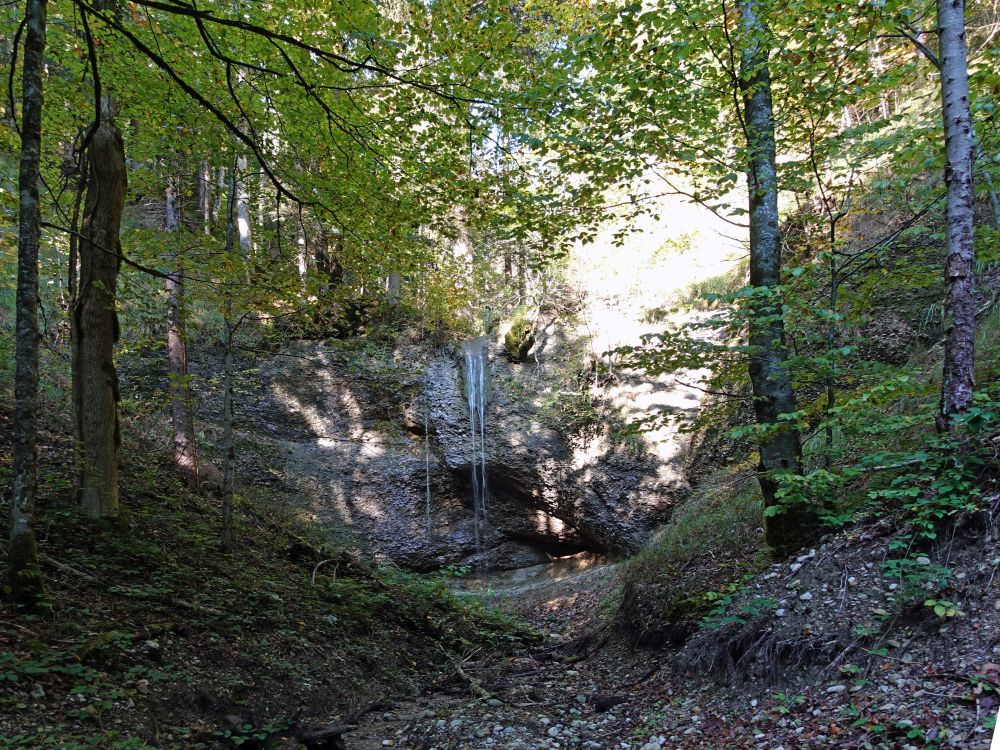 kleiner Seitengubel