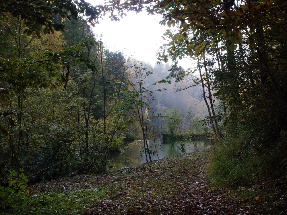 Teich am Züttbach