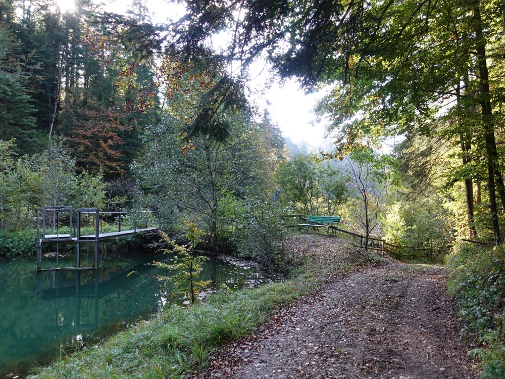 Teich am Züttbach