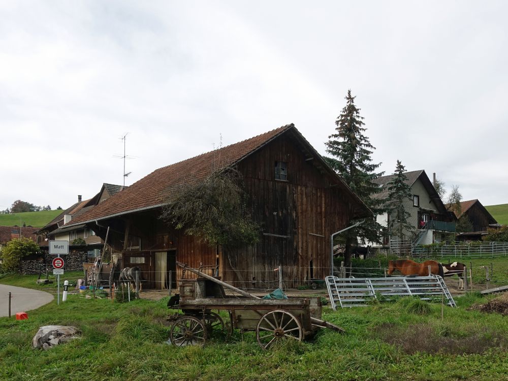 Bauernhaus in Matt