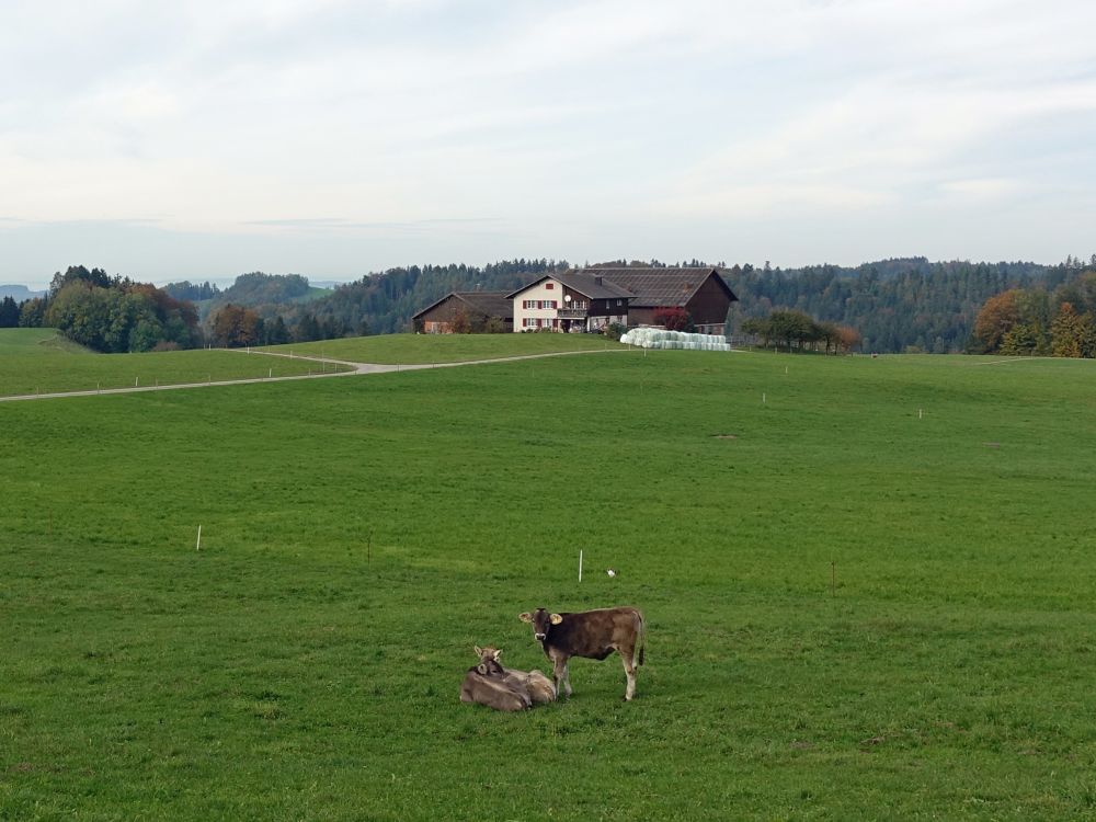 Bauernhof bei Oetwil (Bönler)