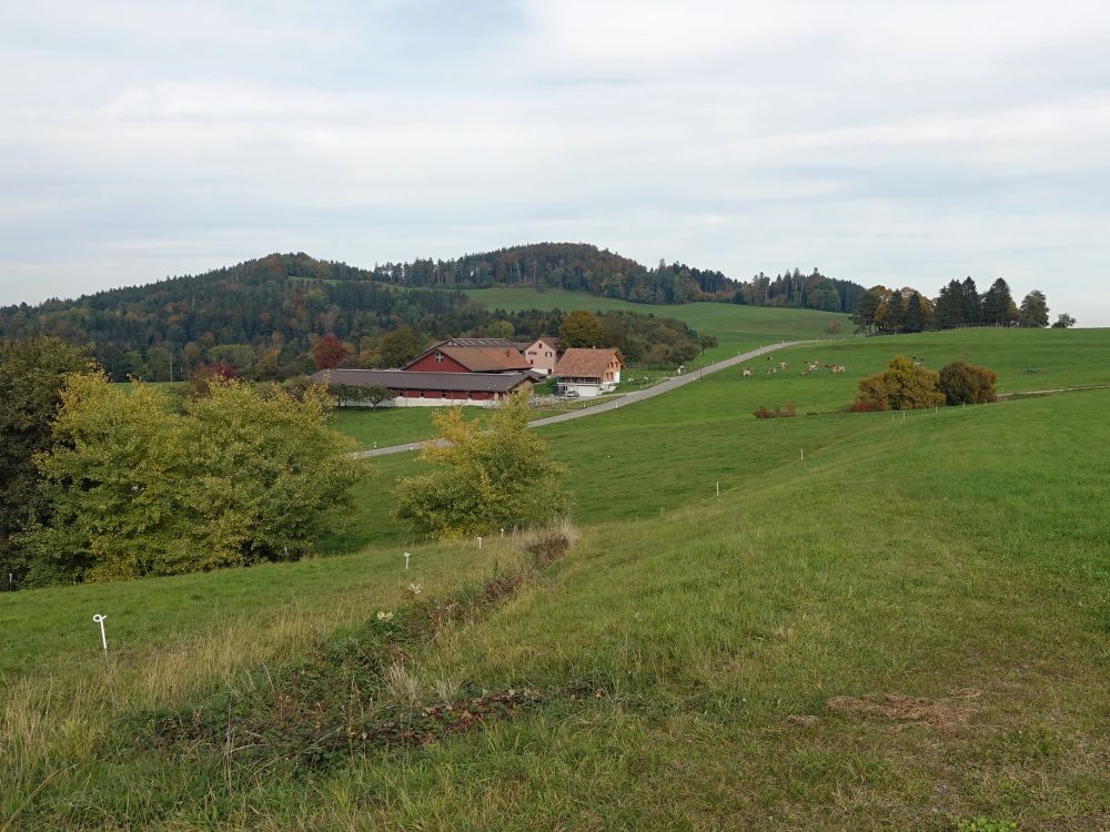 Bauernhof bei Oetwil (Stumpach)