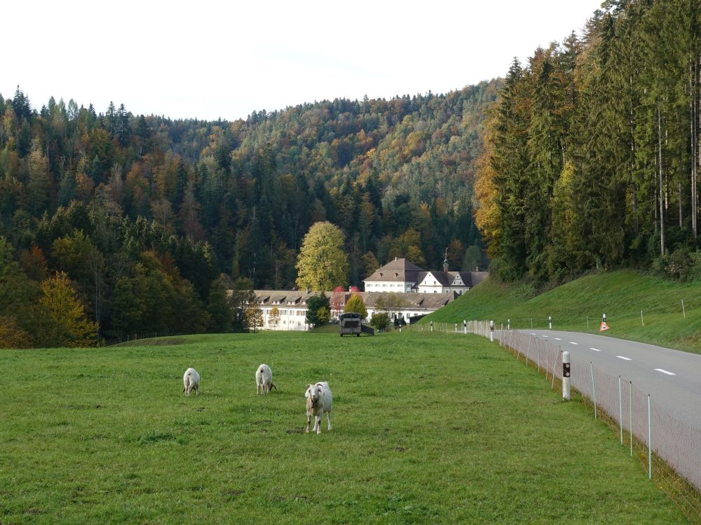 Kloster Fischingen