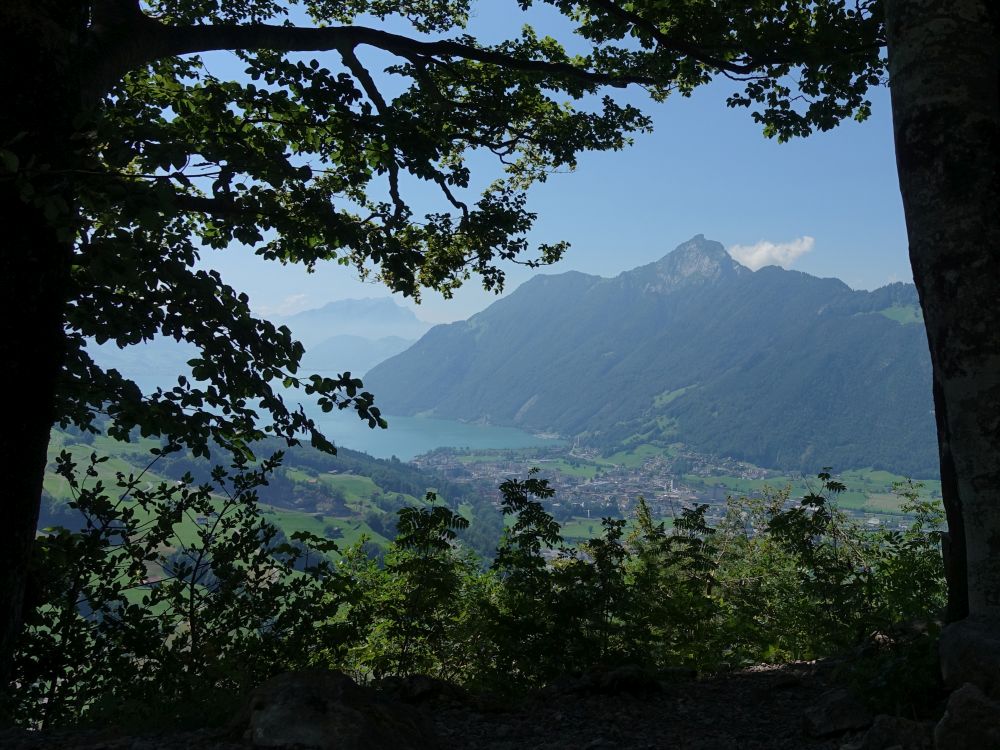 Rigi Hochflue