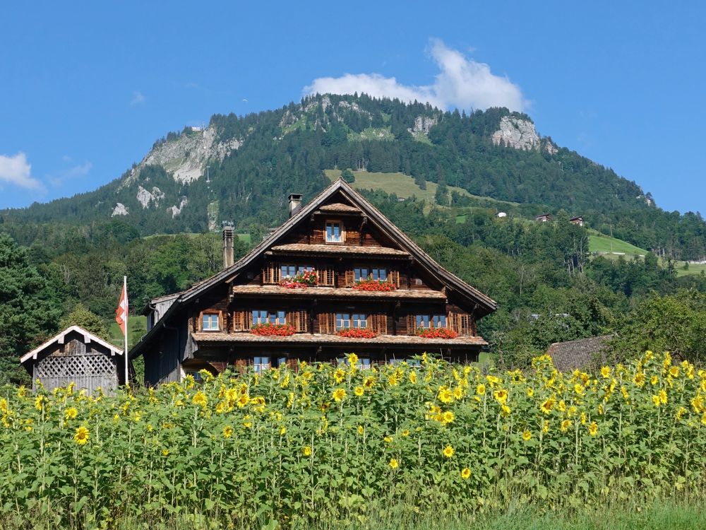 Schweizerhaus unter Rotenflue