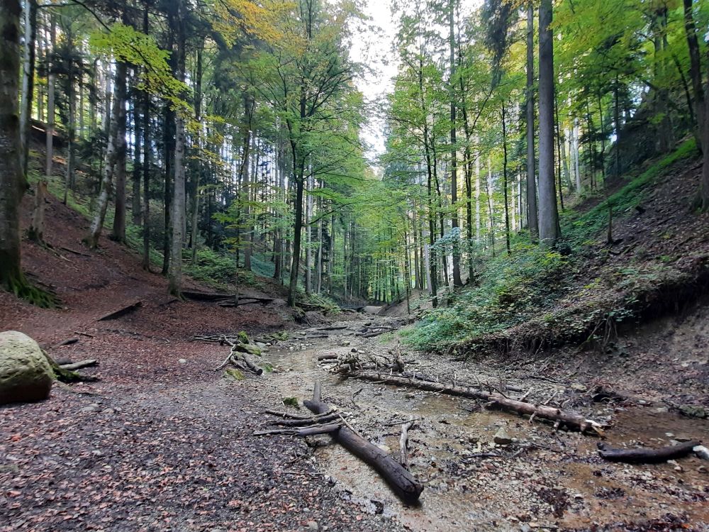 Zugang zum Wissengubel