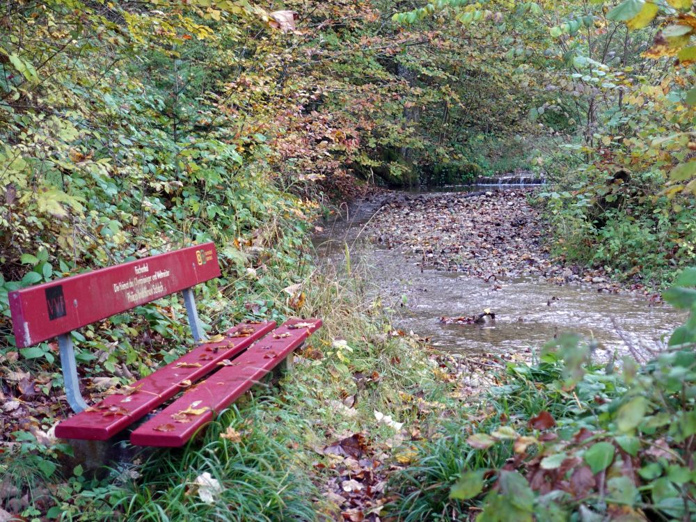 Sitzbank am Bärenbach