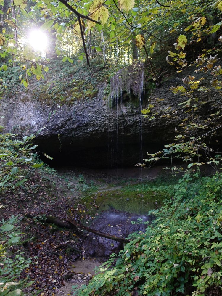 kleiner Gubel im Chriesihölzli