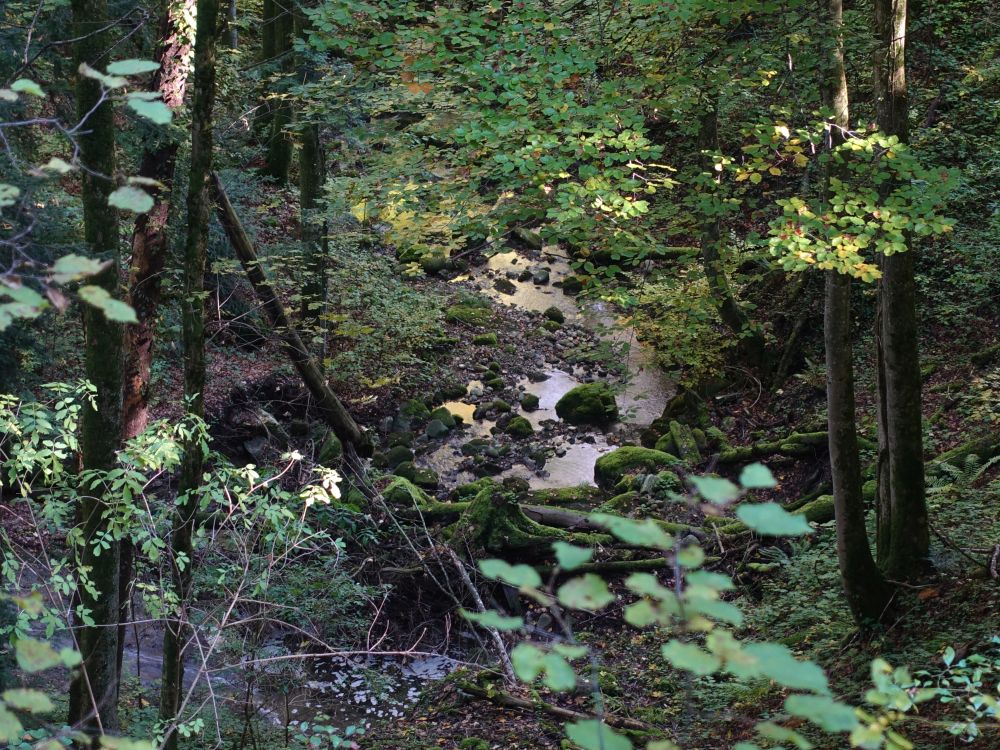 Tiefblick oberhalb Tätschgubel