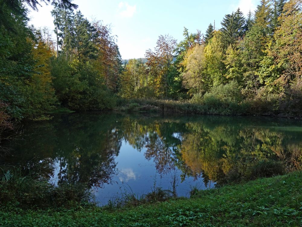 Teich bei Seelisberg