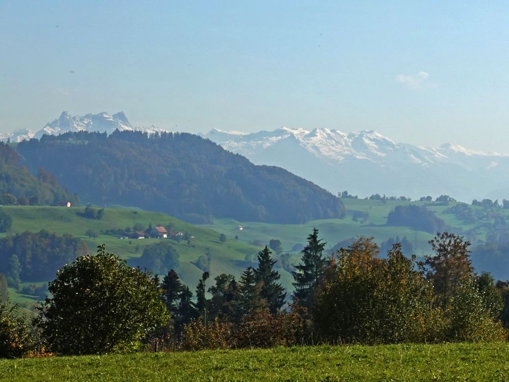 Alpensicht (Mürtschenstock, li.)