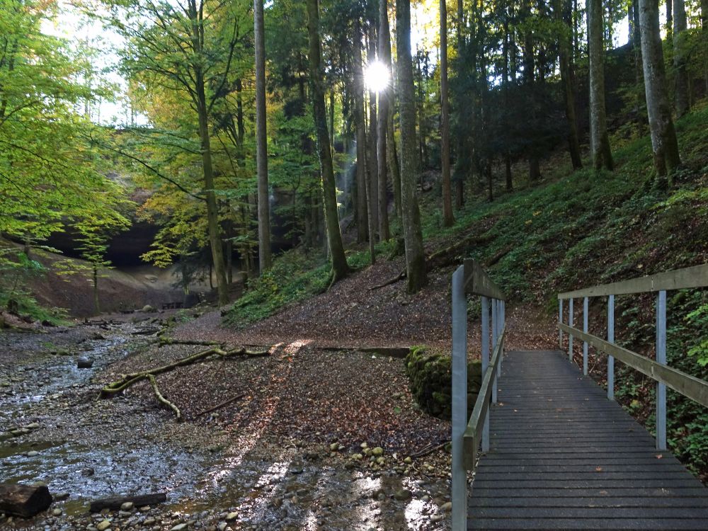 Steg zum Wissengubel