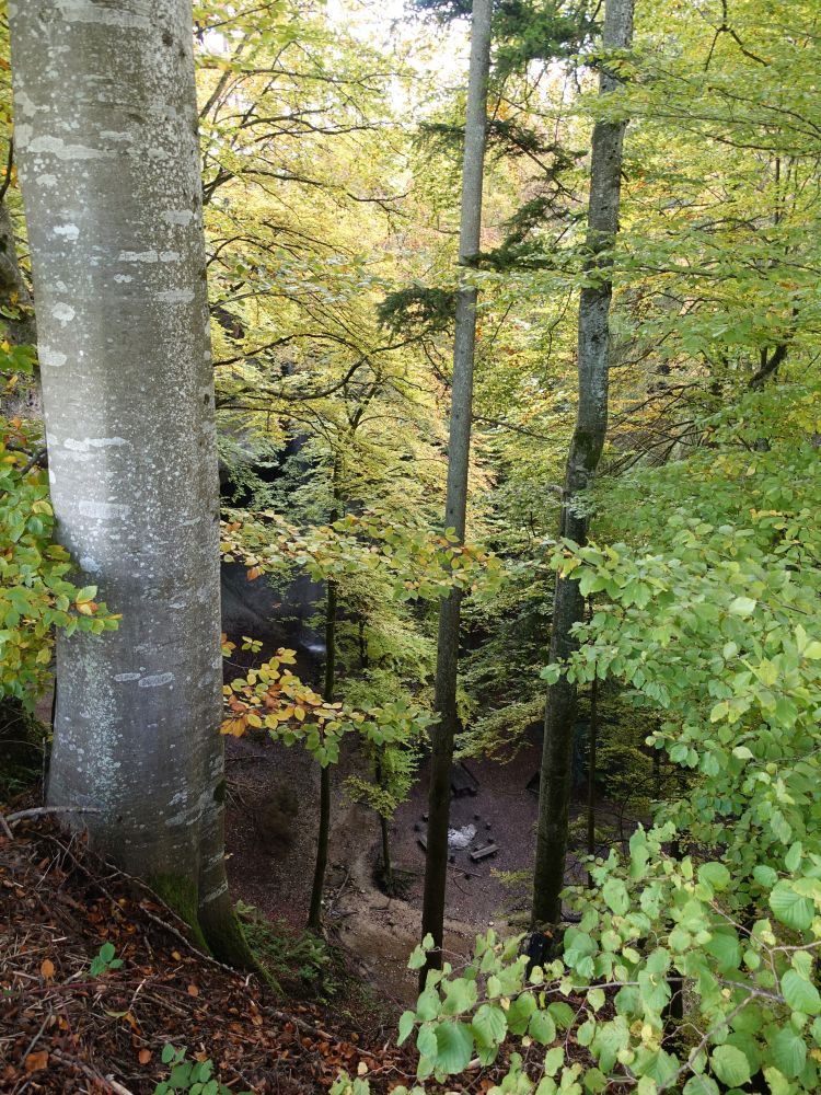 Tiefblick oberhalb Wissengubel