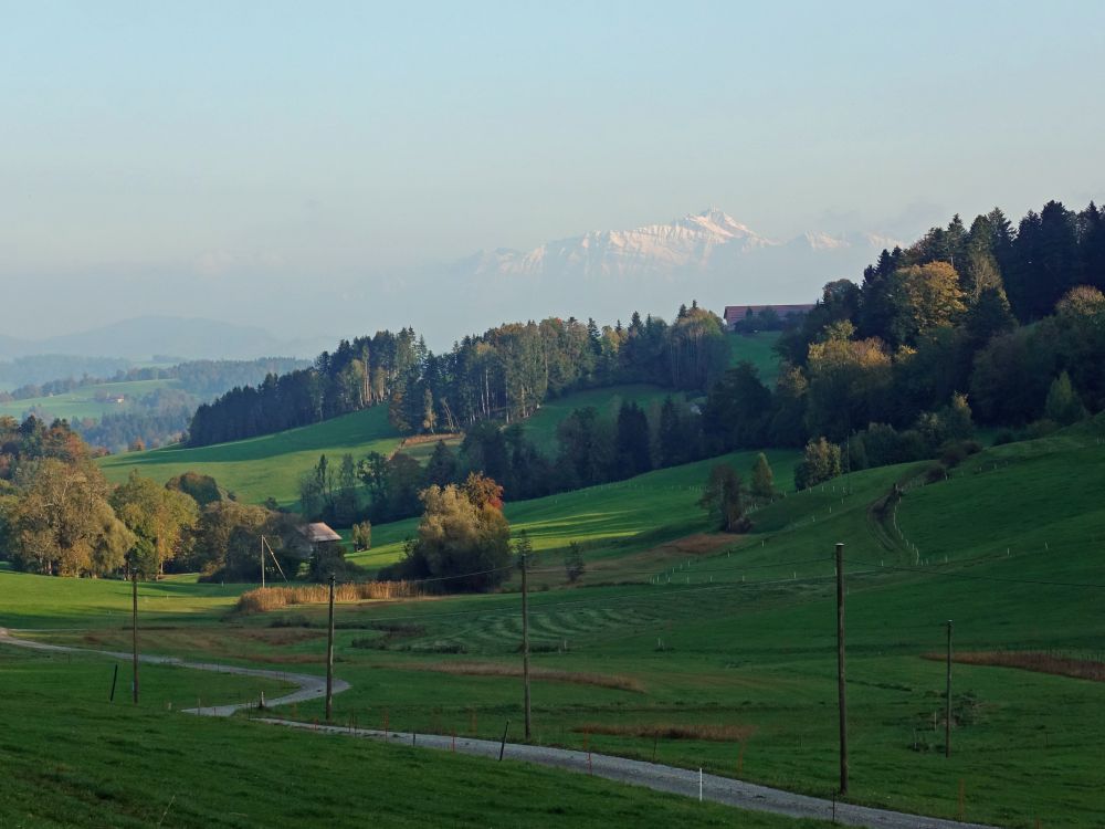 Säntis (Heimfahrt)