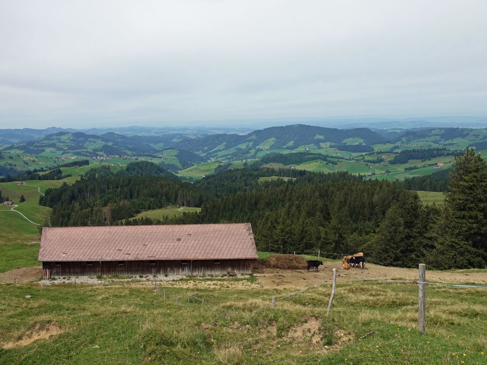 Blick Richtung Wilketshöhe