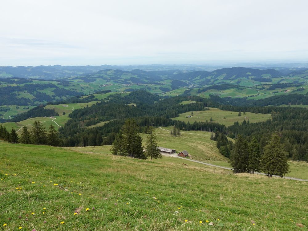 Blick Richtung Norden (Schüssenalp)