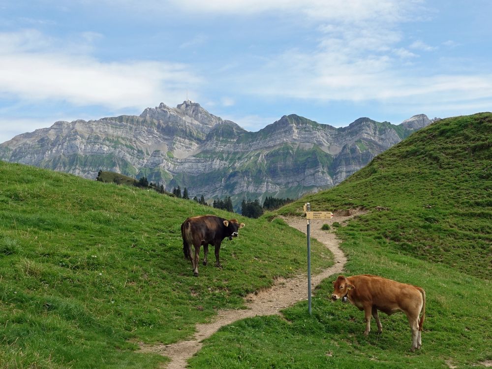 Säntis