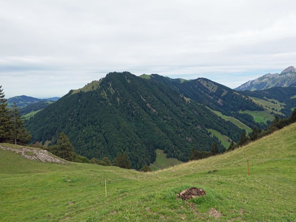 Spitzli, Hoch-Petersalp und Kronberg