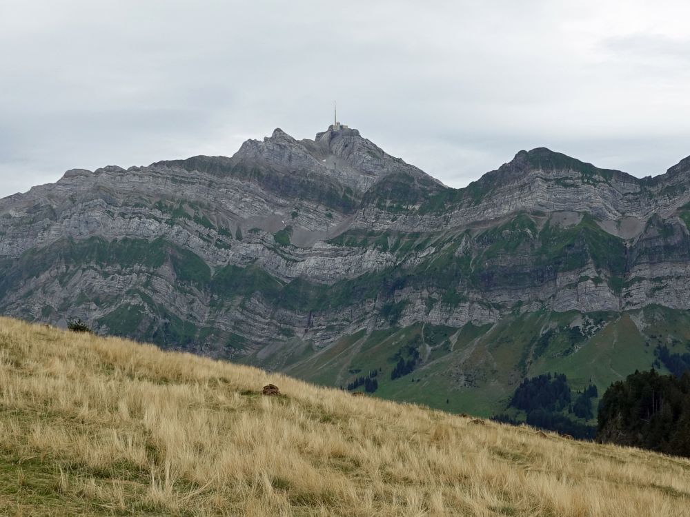 Säntis