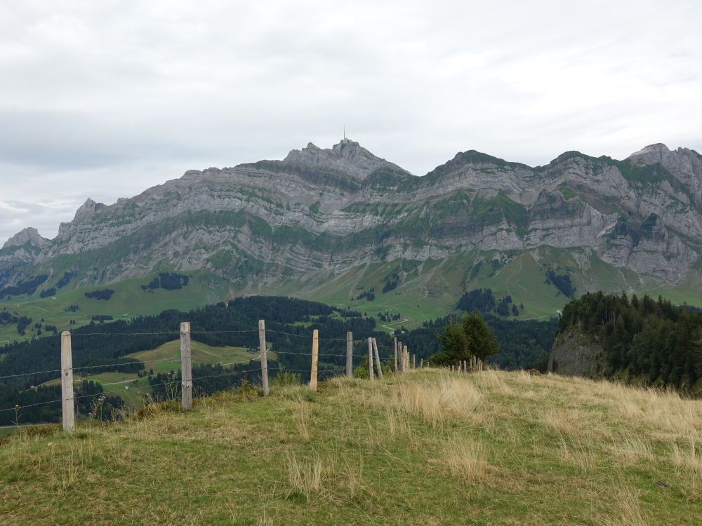 Säntis