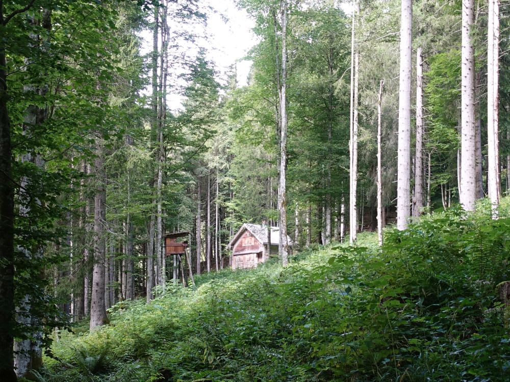 Hexenhäuschen im Vorder Cholwald