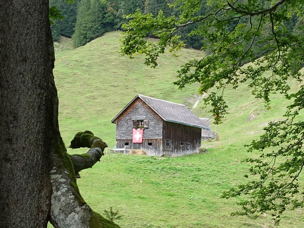 Hütte am Ampferenboden