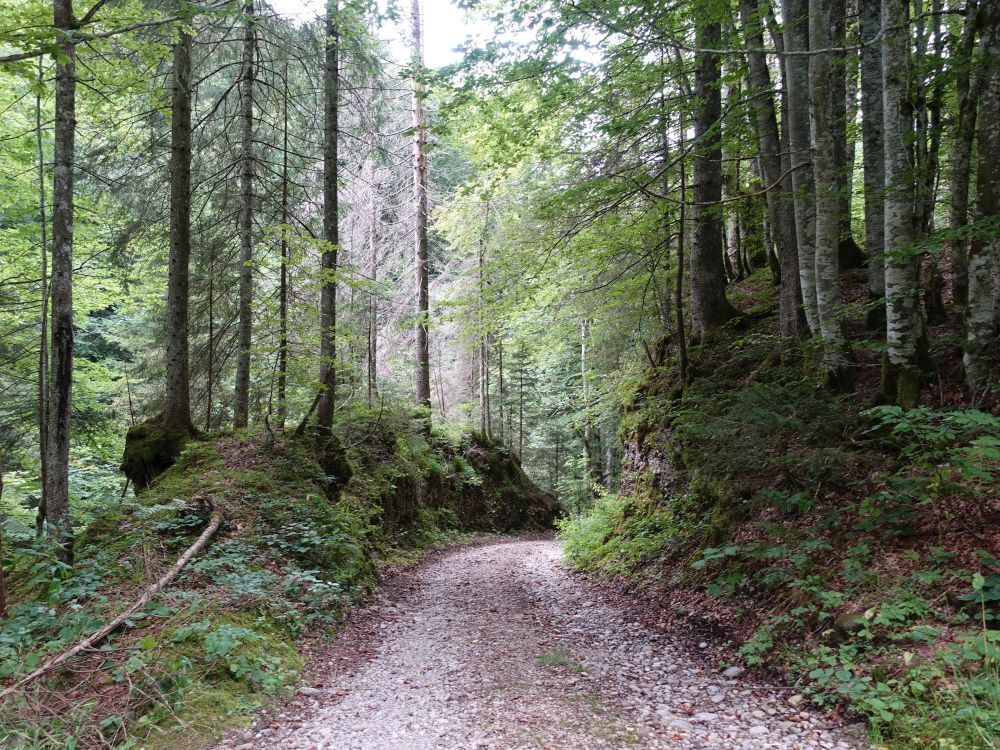 Weg am Ampferenboden