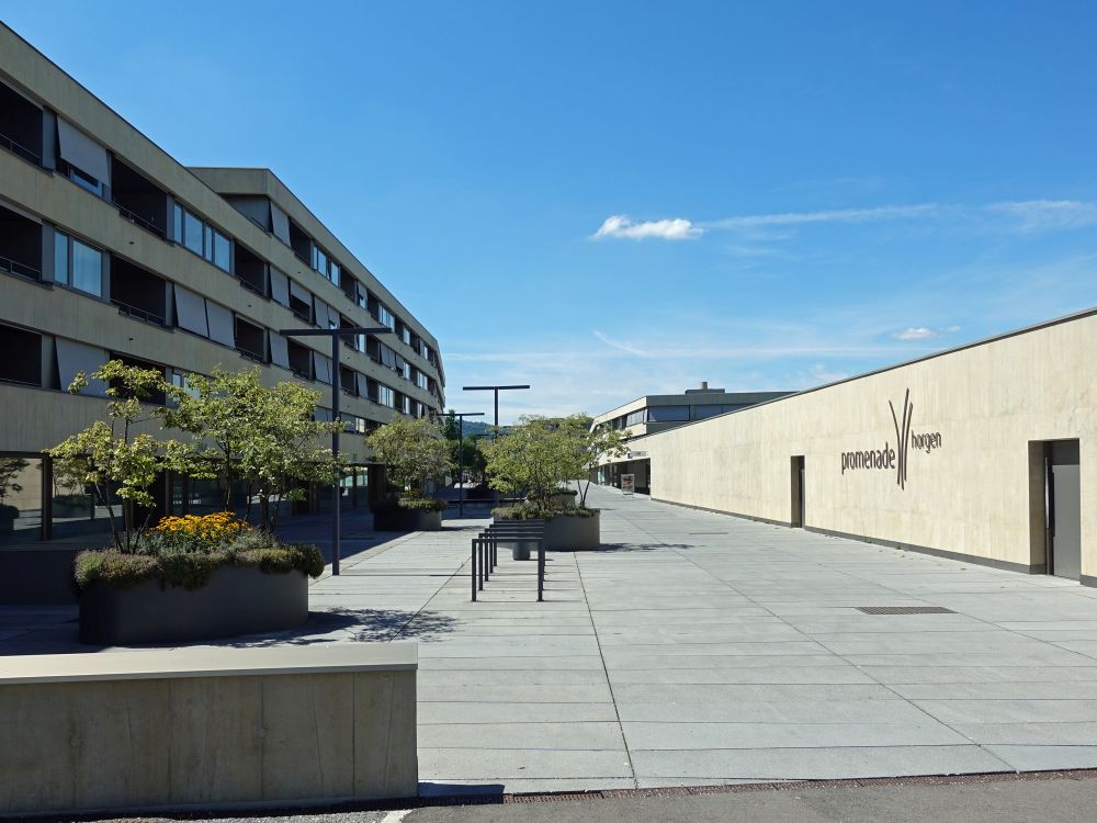 Promenade Horgen