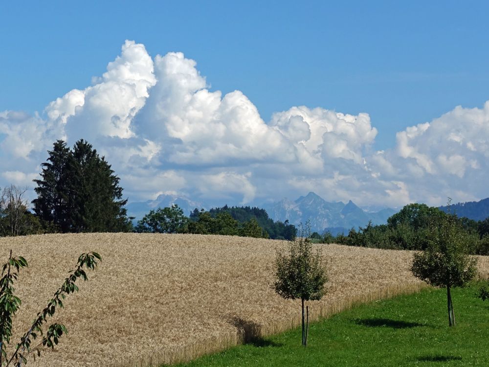 Wolken über den Glarner Alpen
