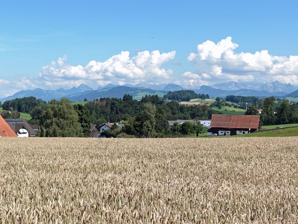 Glarner Alpen