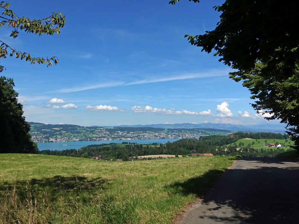 Blick zum Zürichsee